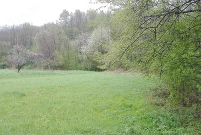 Teren de 2798 mp, în Sârbi - 2