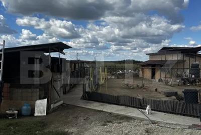 Casă cu 4 camere cu Teren 3018 Mp în Vest - 1