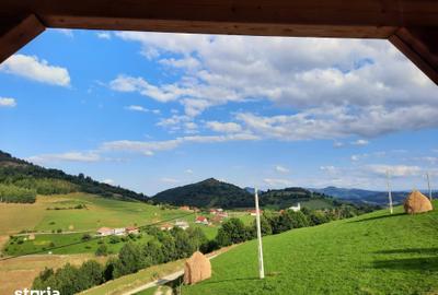 Casă cu 6 camere cu Teren 5600 Mp în Săcuieu