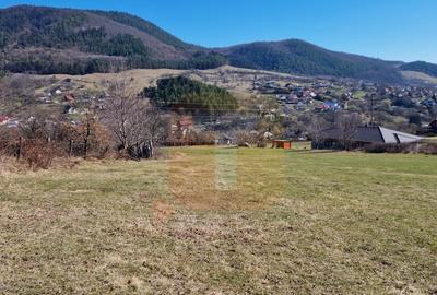 Teren Construcții intravilan de 4000 mp, în Alexandru cel Bun - 15
