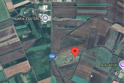 Teren în Lazuri