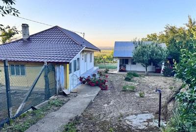 Casă cu Teren 2700 Mp în Scoposeni (Gorban) - 1