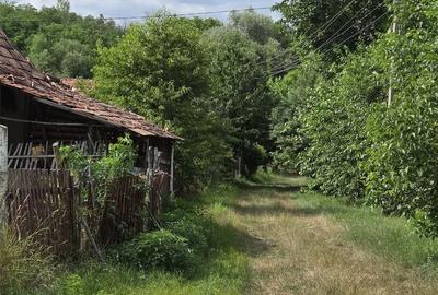 Teren de 2600 mp, în Meseșenii de Jos - 8