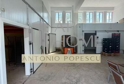 Spațiu comercial, de 1,086 mp, în Valea Călugărească - 6