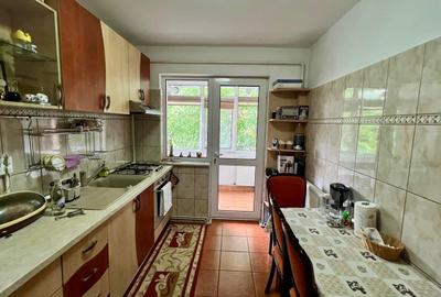 Apartament cu 4 camere decomandat, mobilat în Banat - 4