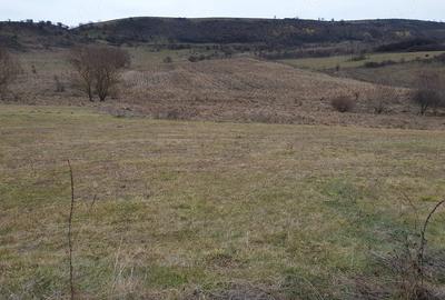 Teren de 1850 mp, în Chinteni