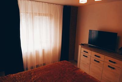 Apartament cu 2 camere decomandat, mobilat în Banat - 11