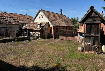 Casă cu 4 camere cu Teren 1500 Mp în Roșia de Secaș - 2