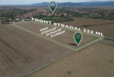 Teren intravilan de 25400 mp, în Zăbrani