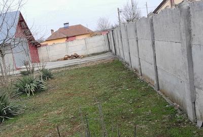 Casă cu Teren 11000 Mp în Pluta - 5