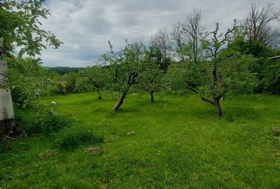 Casă cu 3 camere cu Teren 4000 Mp în Cetățeni - 10