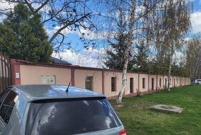 Spațiu comercial, în Aninoasa