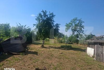 Casă cu 2 camere cu Teren 5000 Mp în Dragomirești - 5