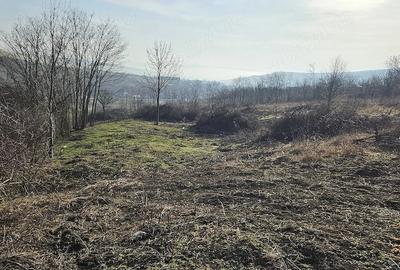 Teren de 3600 mp, în Lipovăț - 2