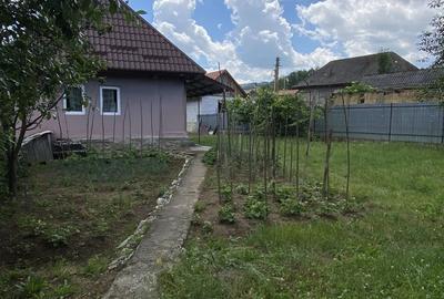 Casă cu 2 camere cu Teren 2600 Mp în Poieni - 13