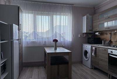 Apartament cu 2 camere în Terezian