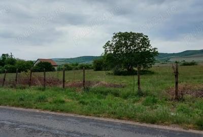 Teren de 11780 mp, în Merei - 4