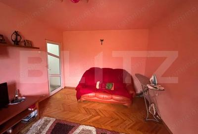Apartament cu 2 camere semidecomandat în Vest - 2