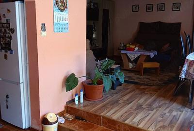 Casă cu Teren 500 Mp în Hăghig