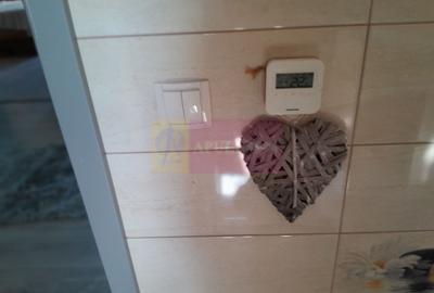 Casă individuală cu 5 camere cu Teren 958 Mp în Tineretului - 22
