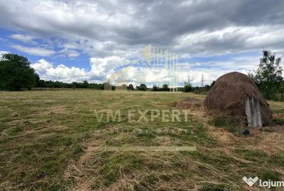 Casă cu 3 camere cu Teren 6997 Mp în Bughea de Sus - 5