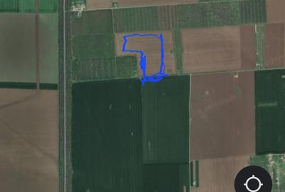 Teren agricol extravilan de 60000 mp, în Tuzla - 1