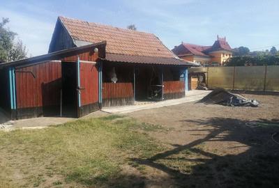 Casă cu 3 camere cu Teren 5000 Mp în Dienci