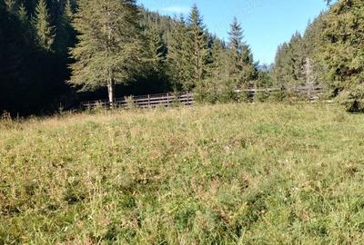 Teren de 3800 mp, în Capu Corbului - 8