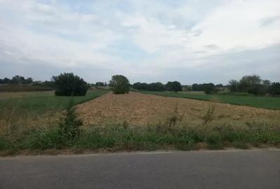 Teren de 2600 mp, în Jilava - 5