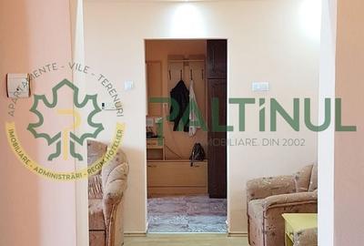 Apartament cu 2 camere semidecomandat, mobilat în Mihai Viteazul - 14
