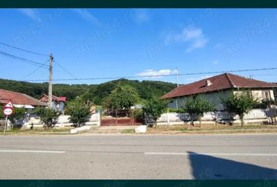 Casă cu 2 camere cu Teren 3623 Mp în Țicleni - 4