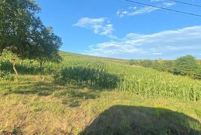 Teren de 5000 mp, în Ghirolt