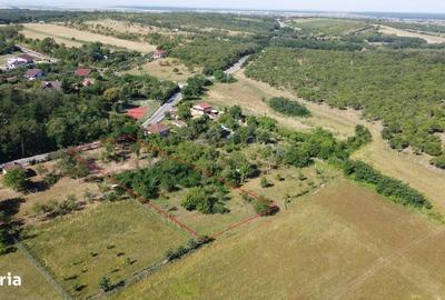 Spațiu comercial, în Ardud - 6