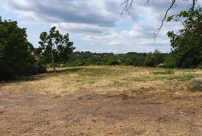 Spațiu comercial, în Jugureni - 4