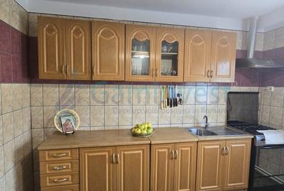 Casă individuală cu 4 camere cu Canalizare în Cacuciu Vechi - 19