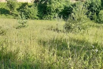 Teren de 1500 mp, în Central - 5