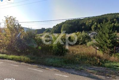 Teren de 7797 mp, în Mărgineni - 3
