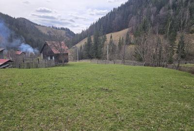 Spațiu comercial, în Fundu Moldovei - 6