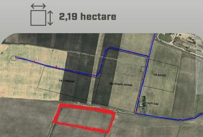 Teren Construcții extravilan de 21900 mp, în Central