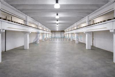 Spațiu industrial, de 2,500 mp, în Oncea - 3