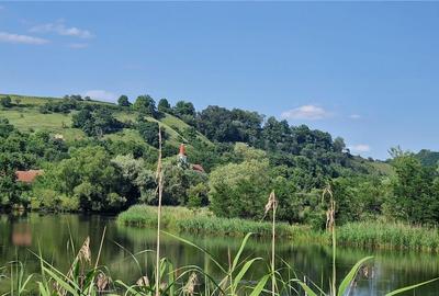 Teren agricol extravilan de 5820 mp, în Colun - 27