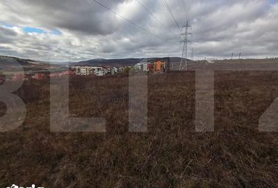 Teren de 4642 mp, în Baciu - 3