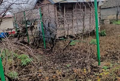 Casă cu 7 camere cu Teren 1352 Mp în Victoria - 2