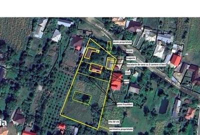 Casă cu 4 camere decomandat cu Teren 1000 Mp în Măgirești - 1