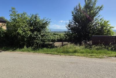Teren intravilan de 1290 mp, în Coltău - 3