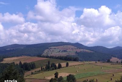 Teren de 2922 mp, în Arieșeni - 3