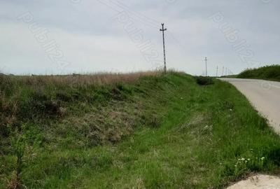 Teren de 5000 mp, în Pielești - 1