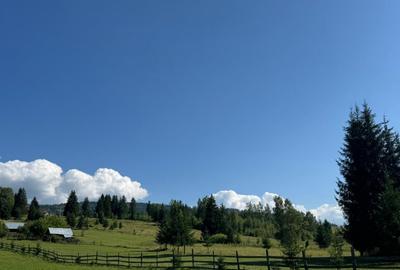 Teren agricol intravilan de 22000 mp, în Plaiu Șarului - 8