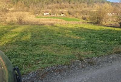 Teren de 1400 mp, în Central