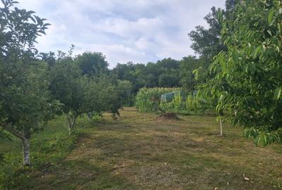 Casă cu 4 camere în Sânpetru